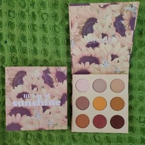 Lil ray of sunshine palette
